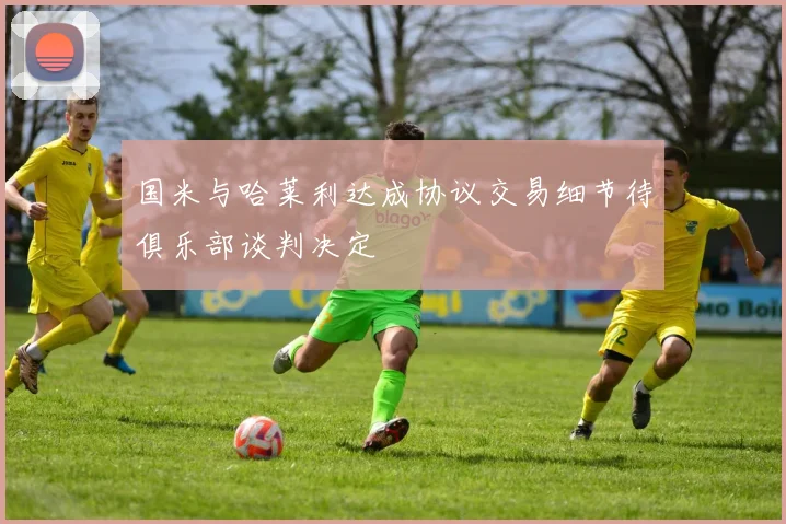 国米与哈莱利达成协议交易细节待俱乐部谈判决定