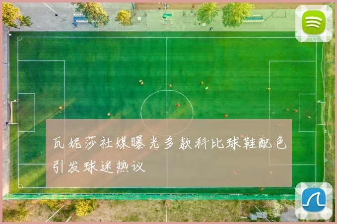 瓦妮莎社媒曝光多款科比球鞋配色引发球迷热议